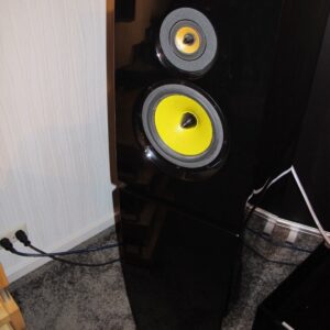 Davis Karla – High-End Floorstanding Speakers in Black, Excellent Condition