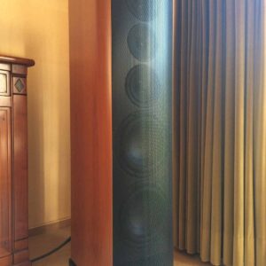 2 × T+A Criterion TCD 110 S Speakers + GOLDKABEL LS 440, 2 × 4m – Excellent Condition